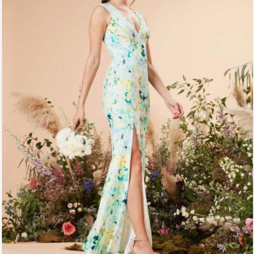 Dress the Population Sandra Gown